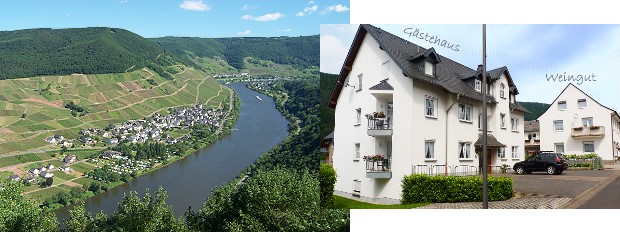 Ferienort Mesenich/Mosel - Wein- und Gästehaus Dernst